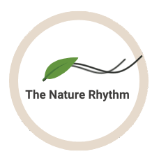 The Nature Rhythm